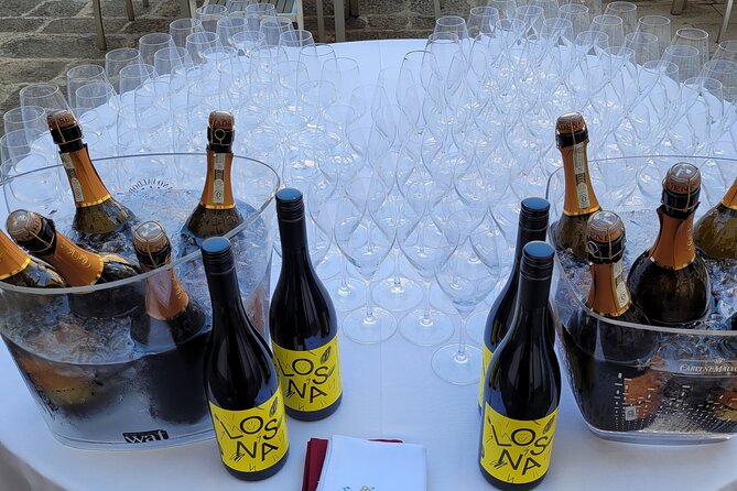 Venice like a local: Vini and Cichetti at Liuba and Hugo's home - Venice day-trip access fee, the one thing to check