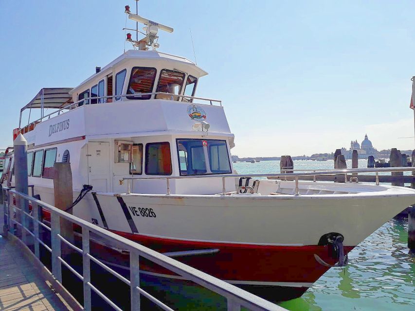 Venice: Murano & Burano Panoramic Boat Tour w/ Glassblowing - Cruising the Venetian Lagoon in a panoramic motorboat