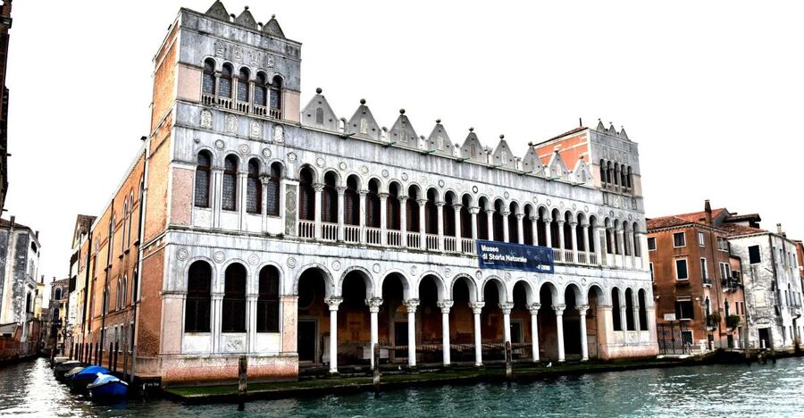 Venice: Natural History Museum Entry Ticket - Courtyard, Terrace, and the Rainy-Day Advantage