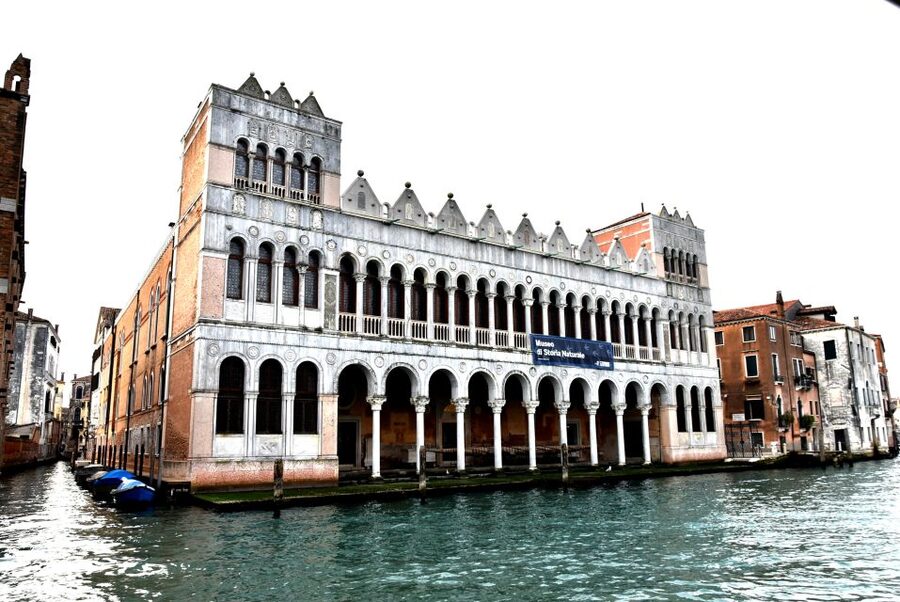 Venice: Natural History Museum Entry Ticket - Why This Building Feels Different From a Typical Museum