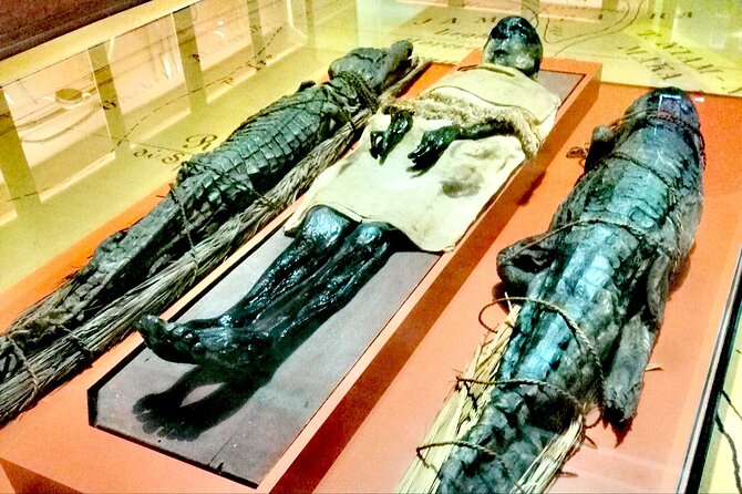 Venice Natural History Museum: Private Tour - What makes the Venice Natural History Museum feel different