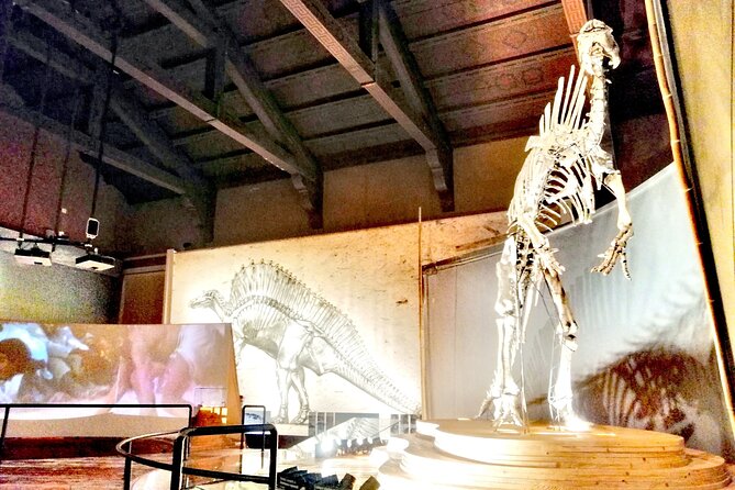 Venice Natural History Museum: Private Tour - What you will see inside: dinosaur skeletons, marine animals, and unusual specimens