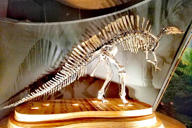 Venice Natural History Museum: Private Tour - Stop-by-stop: how the 2 hours usually feels in the museum