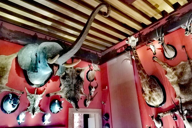 Venice Natural History Museum: Private Tour - The Fontego dei Turchi: a 13th-century palazzo on the Grand Canal