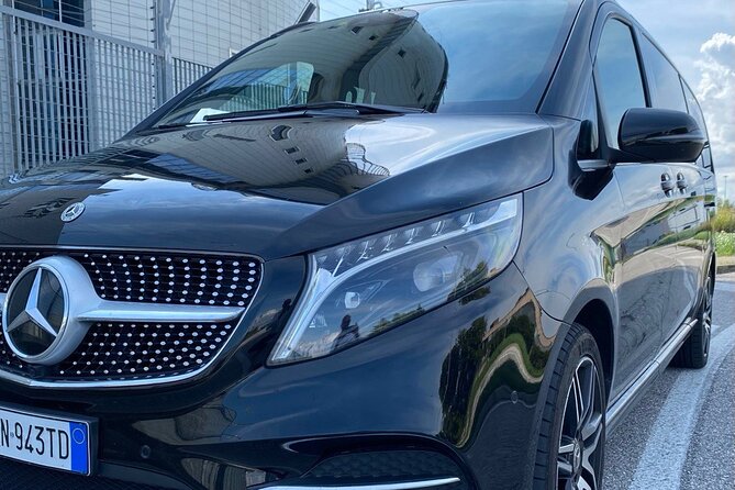 Venice or Fusina cruise to Venice AIRPORT VCE - Where the Driver Meets You, Ship Landing to VCE Airport