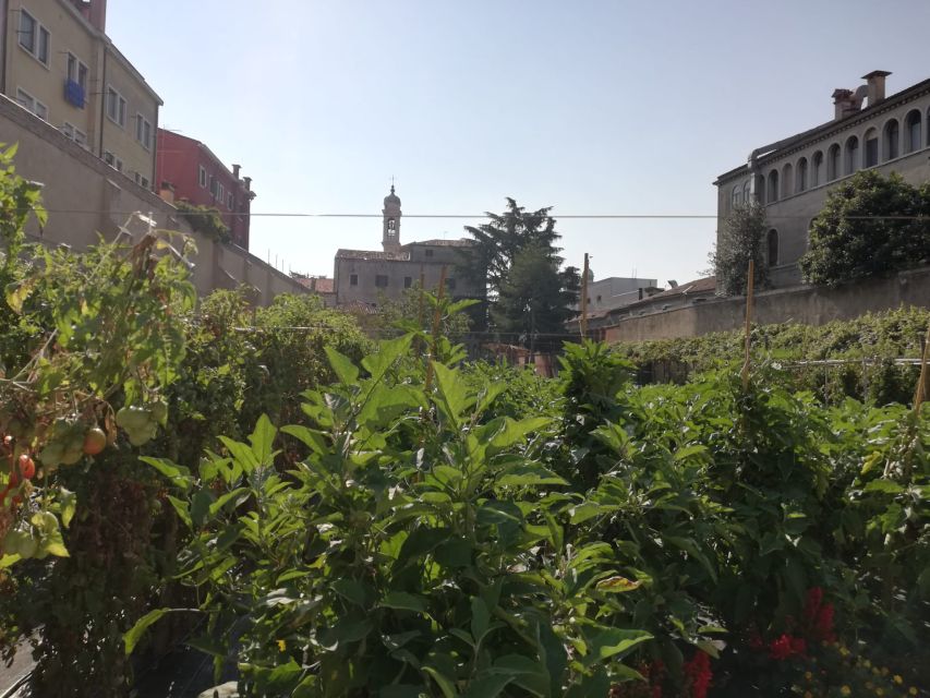 Venice: Secret City Gardens Walking Tour - Where you meet and how the tour flows