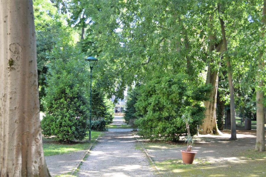 Venice: Secret City Gardens Walking Tour - Shade, summer comfort, and what to bring