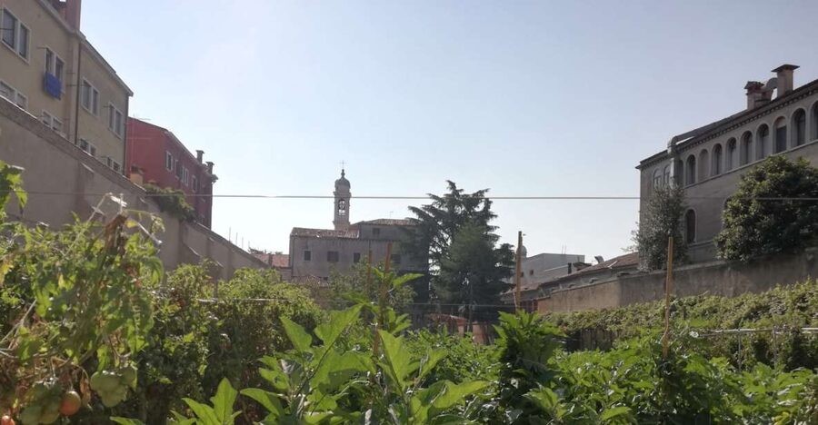 Venice: Secret City Gardens Walking Tour - Price and value for a $93, 2-hour garden ticket
