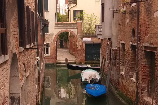 Venice Small Group Walking Tour of Most-Famous Sites &Attractions - Who should book this Venice small-group walk