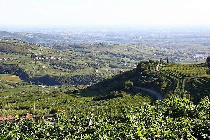 Verona art city, Valpolicella wine tasting full day private tour - Amarone tasting time you can build a memory around
