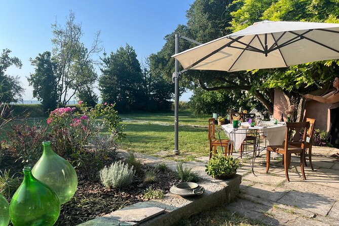 Wine Tasting with the winemaker in Villa Santa Eurosia - The vineyard and artichoke walk, why it sets up the tasting